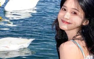 177.sk：获取吃瓜资源和有趣地址的不二选择