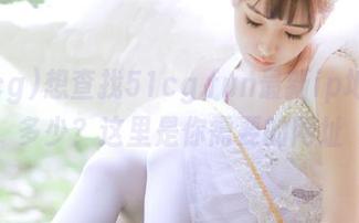 想查找51cg.fun最新ip地址是多少？这里是你需要的网址