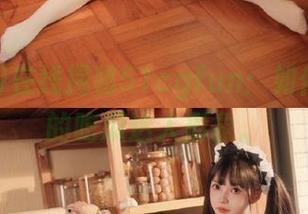 在线揭秘51cgfun：如何打造你的吃瓜达人形象。