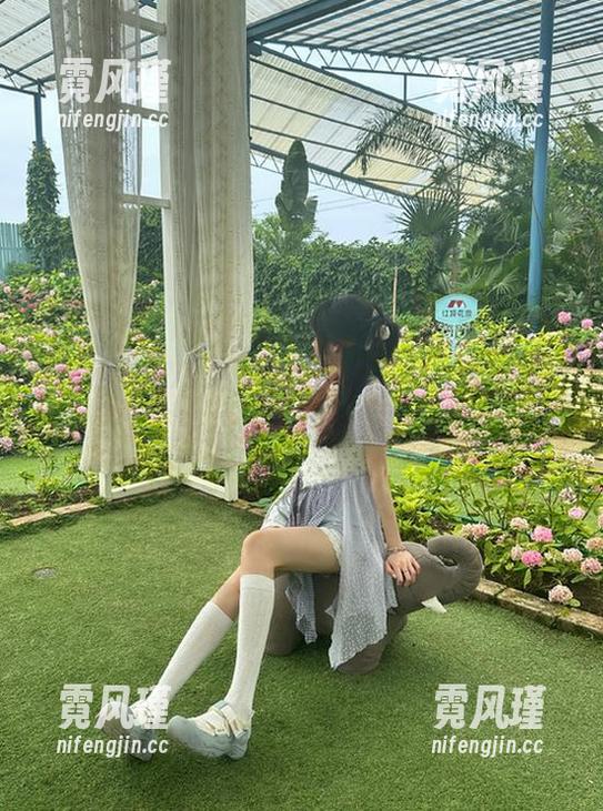 51吃瓜朝阳群众齐聚官网，探讨近期蘑菇事件的背后故事