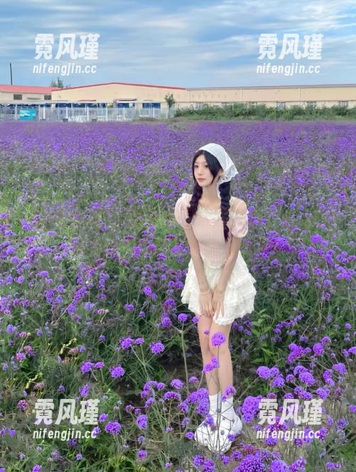 想知道明星最新八卦？51吃瓜网明星大瓜链接等你来点开！