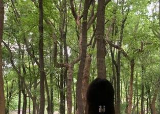 718sx的导航功能，让你在吃瓜娱乐中一路畅通无阻，乐享生活！