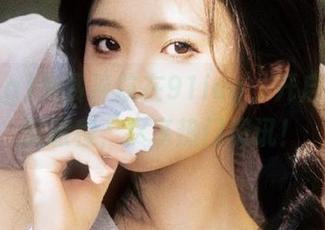 免费导航在91icg，开启你的吃瓜旅程，尽享热门资讯！