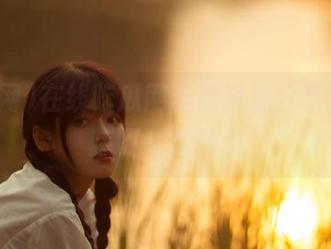 在线吃瓜网丰富资源分享，轻松获取最新热点