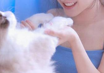 黑料不打烊在线观看，带你走进精彩纷呈的八卦娱乐线路！