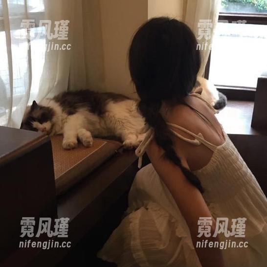 颠覆传统的黑料社app下载重磅更新，带你畅享吃瓜新体验，内容更丰富！