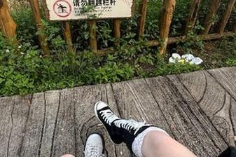 黑料社区网站导航功能评测，吃瓜爱好者的必备工具