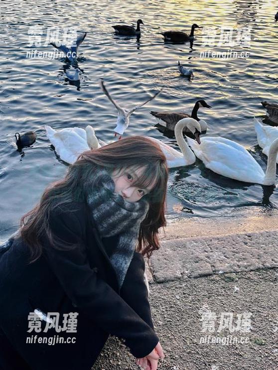 黑料老司机不打烊，这个网站让你随时随地了解最新的娱乐圈八卦！